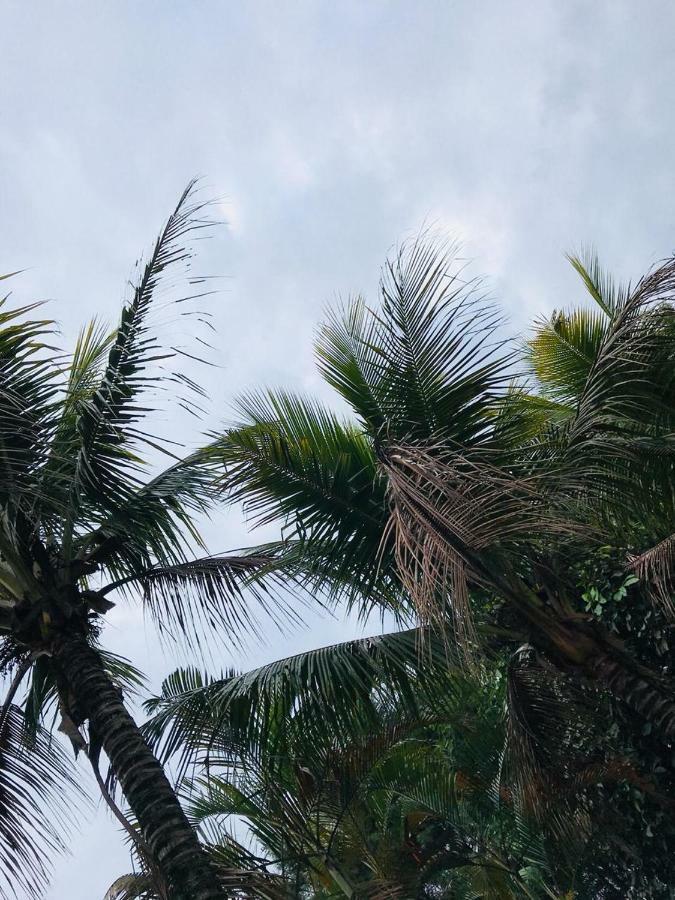 Chacara Recanto Paraiso Jarinu Buitenkant foto